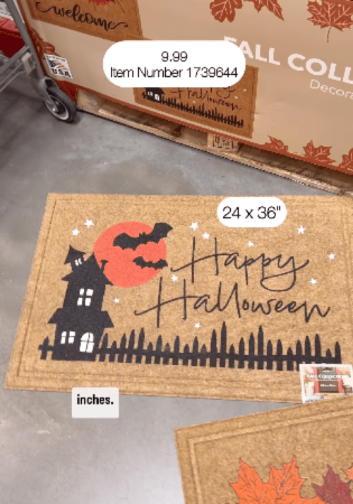 costco festive doormats